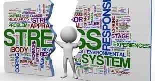 Gestion du Stress & des Conflits